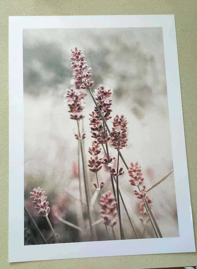 Come decorare una parete con 5 poster di pregio