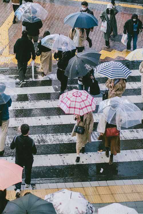 Uomini e donne con ombrelli colorati che attraversano un incrocio sotto la pioggia, scena urbana in una giornata grigia e piovosa, persone che camminano con attenzione sulla strada bagnata, atmosfera cittadina vivace e piovosa.