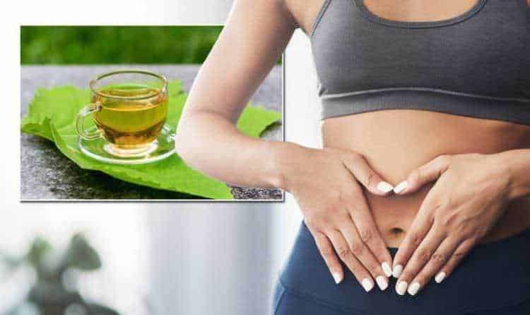 10 bevande salutari dimagranti fai da te, dal tè verde 2 Bevande dimagranti fai da te: 10 bevande salutari dimagranti fai da te