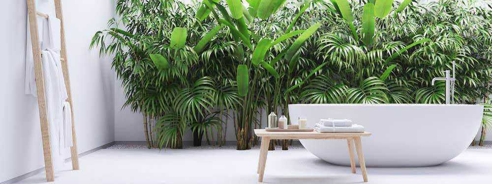 Piante per bagno cieco senza finestra: 15 piante bagno cieco senza finestra: le migliori specie con poca luce. Fioritura di piante verdi in bagno con vasca da bagno vintage, illuminata da candele e luci soffuse, creando un'atmosfera rilassante e naturale. Decorazioni di stile boho chic e ambientazione accogliente.