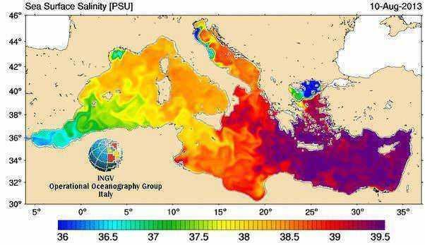 Maree salinità superficie mare PEU europee e mediterraneo, mappe oceanografiche con livelli di salinità del mare, dettagli sulla distribuzione della salinità nelle acque italiane e mediterranee, analisi del database INGV.