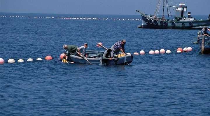 CORREZIONE Perché si chiama Mar mediterraneo, mare o oceano? (2026) 109 Pesca nel Mar Mediterraneo