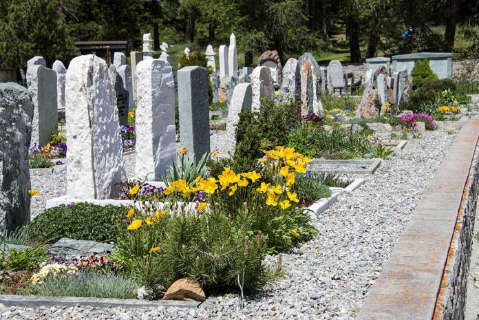 Piante perenni per tombe da piantare nel cimitero