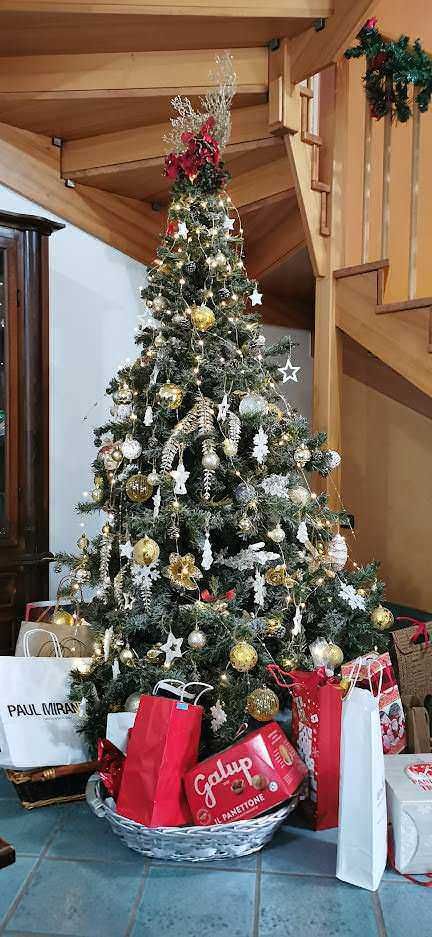 Alto testo: Albero di Natale decorato con sfere dorate e argento, addobbi natalizi, luci e regali sotto l'albero in un ambiente luminoso e accogliente.