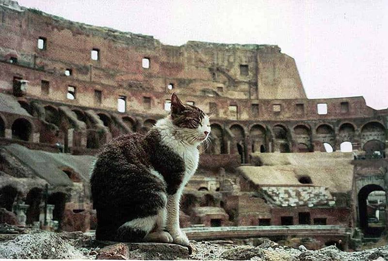 Roma passeggiando lungo il Tevere per 3 km, 14 curiosità 17 Antico monumento romano con testa di Medusa in pietra, decorazione storica su parete in mattoni rossi, adiacente a porta in legno blu, atmosfera storica e artistica.