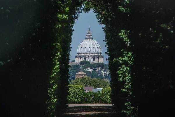 Passeggeri che ammirano il fiume Tiber con un ponte storico a Roma, con vista sulla Basilica di San Pietro, in una giornata di sole. Scene di turisti e ristoranti lungo il lungotevere, perfetto per scoprire le attrazioni di Roma.