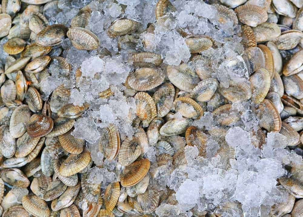 Come cucinare le vongole fresche, 7 step