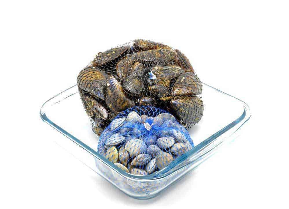 Fresca raccolta di vongole e telline in retine, pronte per essere cucinate o consumate come antipasto, tipiche della cucina italiana di mare.