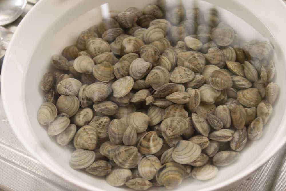 - Coquille di vongole fresche immerse in acqua pulita e pronta per la cottura o la preparazione culinaria.