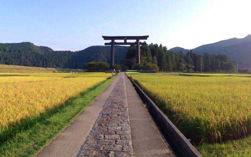 Torii giapponese tra campi di riso verdi e montagne, simbolo di cultura e spiritualità. Strada pedonale di pietra conduce al torii, immersa in un paesaggio naturale sereno e tradizionale.