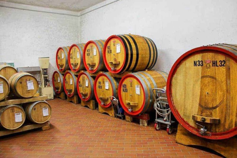 Perché andare a Montalcino in Toscana: cucina tradizionale e 25 siti da visitare 2 Perché andare a Montalcino in Toscana, 25 siti da visitare
