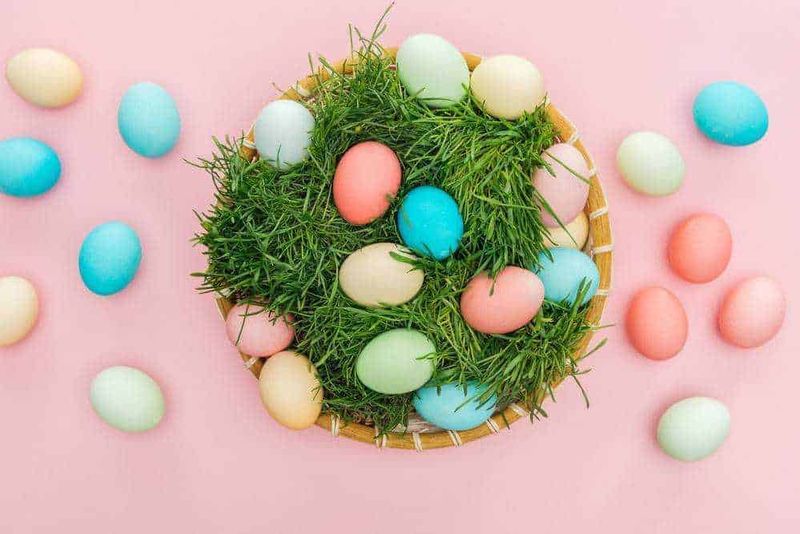 Festa delle Uova, 11 giochi per Bambini a Pasqua!🐰🐣 3 Festa delle Uova, giochi per Bambini a Pasqua!🐰🐣 1