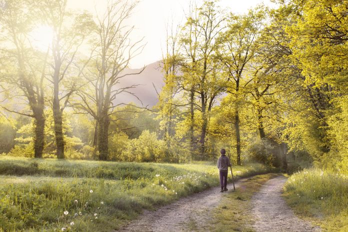 Che cos'è il Cammino di Santiago de Compostela?