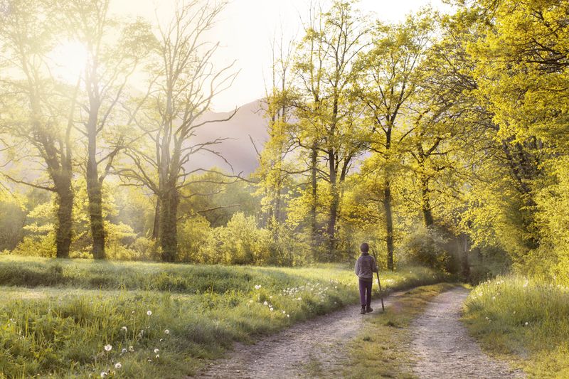 Che cos'è il Cammino di Santiago de Compostela?