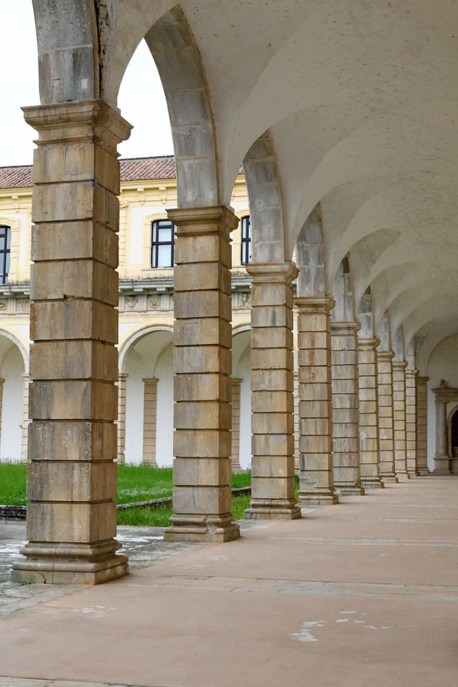 Certosa di Padula e dintorni: Velia