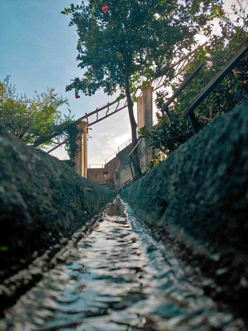 Giardino della Minerva Salerno del XII secolo (2026): storia, piante medicinali e curiosità 11 FileName: appunti-sul-blog-fossato-come-elemento-architettonico-italiano.jpg.