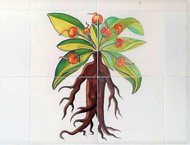 Ricetta di un albero di piante con foglie e frutti dipinto su piastrelle decorative. Creativa rappresentazione botanica con radici visibili e foglie verdi colorate.