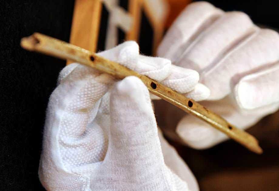 La magia della Musica sul Cervello e Benessere