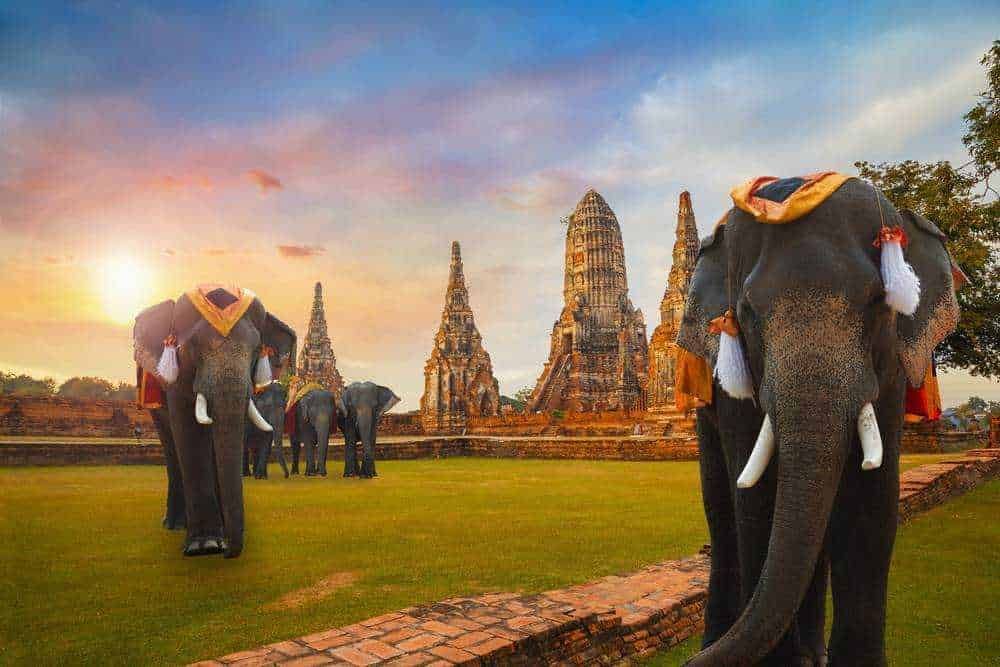 Elefanti decorati con tessuti tradizionali in fronte ai templi di Ayutthaya, Thailandia, al tramonto, simbolo di cultura e turismo.