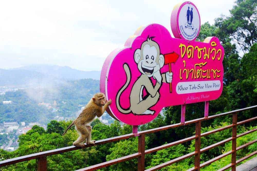 Finestra di esempio di un cartello turistico a forma di scimmia con sfondo naturale e vista panoramica di un paesaggio montano, promuovendo attrazioni come il mirador Khao Toh-See in Thailandia.