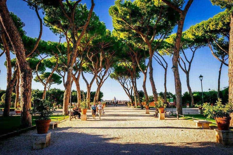 15 Parchi a Roma dove rilassarsi 9 Spiaggia di pini marittimi in un parco urbano con alberi alti e panchine, atmosfera estiva, turisti che passeggiano sotto l'ombra, ideale per relax e promozione del turismo ambientale italiana.