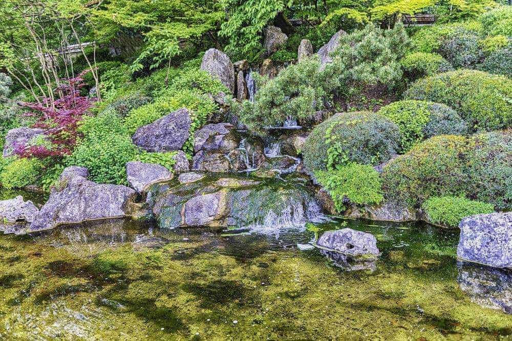 Ruscello con ciottoli e vegetazione rigogliosa in un giardino zen, paesaggio rilassante e naturale, ideale per il benessere e la meditazione, elementi di un giardino giapponese.
