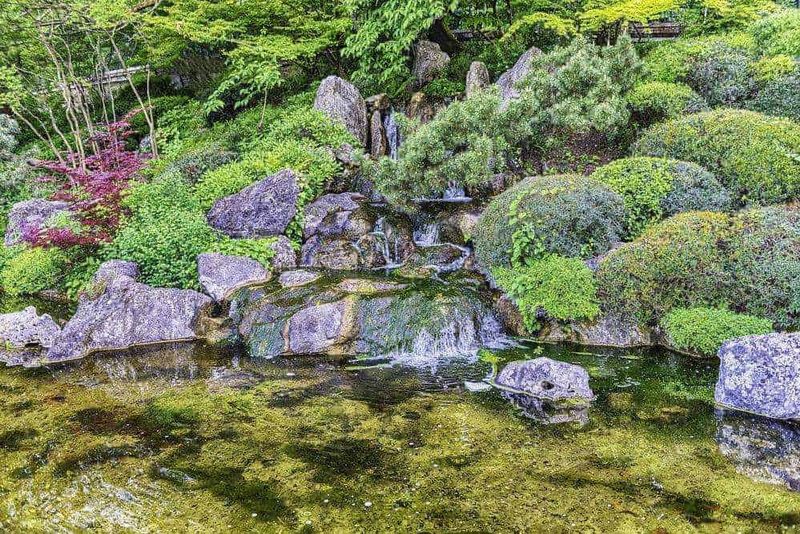15 Parchi a Roma dove rilassarsi 11 Ruscello con ciottoli e vegetazione rigogliosa in un giardino zen, paesaggio rilassante e naturale, ideale per il benessere e la meditazione, elementi di un giardino giapponese.