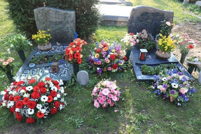 Piante perenni per tombe da piantare nel cimitero