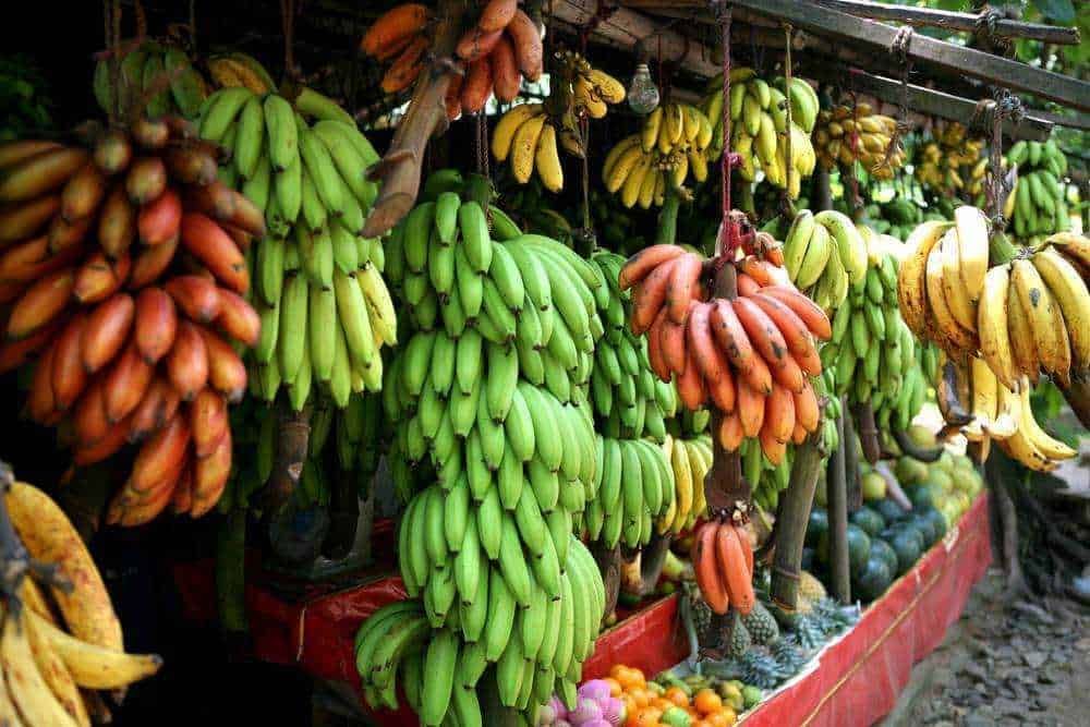 Banane verdi di diverse maturazioni appoggiate in un banco di mercato all'aperto.