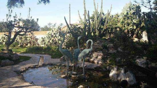 🚘Puglia: Tenuta di Albano Terrisi, paradiso tra gli ulivi 20 Puglia: Tenute Al Bano, paradiso tra gli ulivi