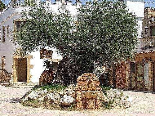 🚘Puglia: Tenuta di Albano Terrisi, paradiso tra gli ulivi 21 Puglia: Tenute Al Bano, paradiso tra gli ulivi