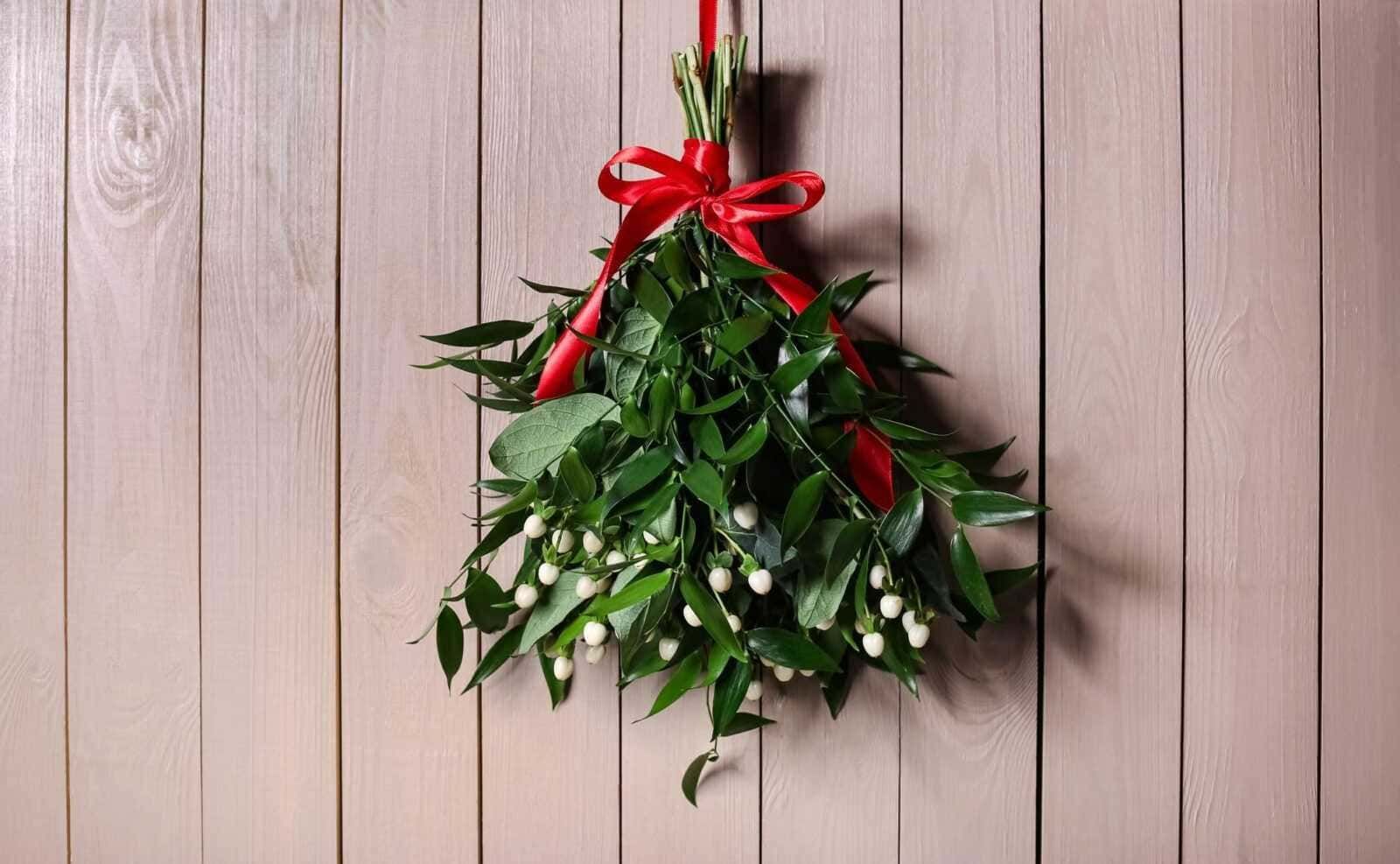 Bouquet di mirto e agrifoglio decorato con nastri rossi, ideale come decorazione natalizia, simbolo di buon auspicio e tradizione festiva in Italia. Perfetto per le festività e le decorazioni di Natale.