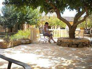 🚘Puglia: Tenuta di Albano Terrisi, paradiso tra gli ulivi 23 Puglia: Tenute Al Bano, paradiso tra gli ulivi