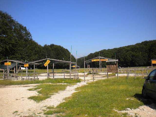 Escursione sul Monte Terminio in Campania