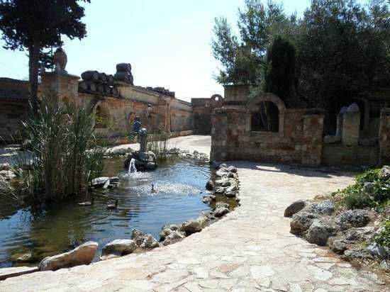 🚘Puglia: Tenuta di Albano Terrisi, paradiso tra gli ulivi 14 Puglia: Tenute Al Bano, paradiso tra gli ulivi