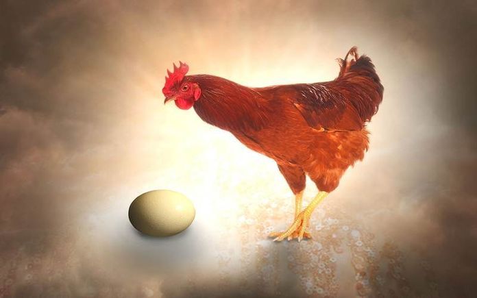 è nato prima l'uovo o la gallina?