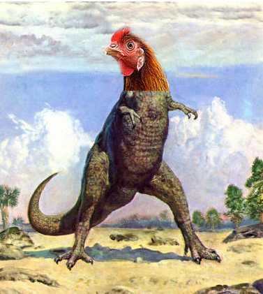 È nato prima l’uovo o la gallina?
