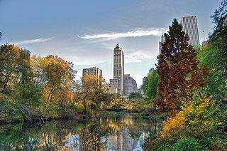 Urbano parco con città skyline, alberi autunnali e riflessi su uno specchio d'acqua, in un ambiente naturale attraversato dalla natura e l'urbanizzazione, perfetto per eventi e relax.