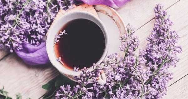 Profumo di lavanda con tazza di tè caldo circondata da fiori di lavanda viola, atmosfera rilassante e profumata, ideale per il benessere e il relax.