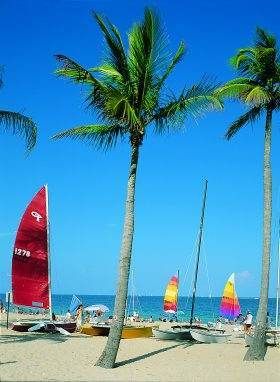 Miami, non solo spiagge a Capodanno in America
