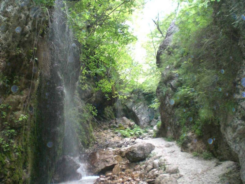 Parco regionale Monti Picentini cosa vedere (2026) 4 Parco regionale Monti Picentini cosa vedere