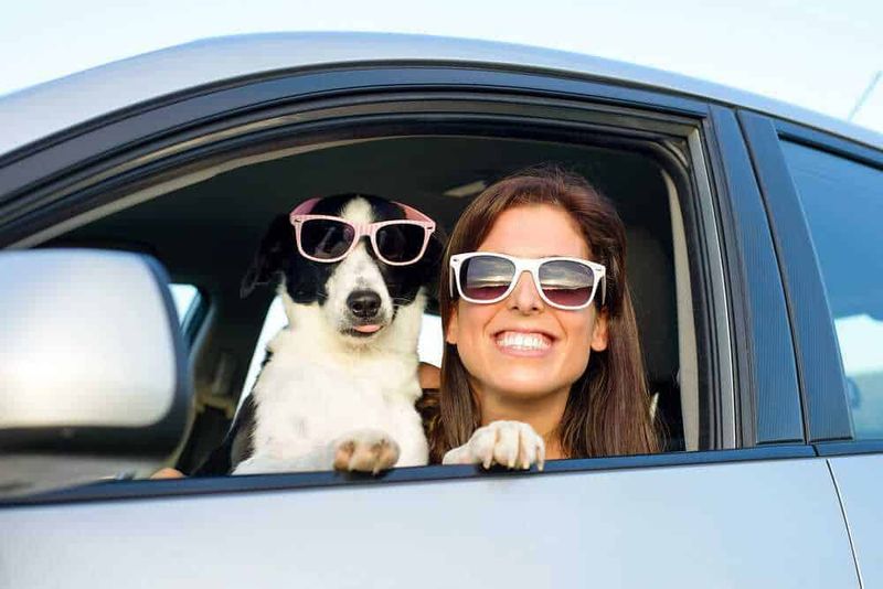 Assicurazione dei cuccioli cosa copre? 3 Assicurazione dei cuccioli cosa copre?