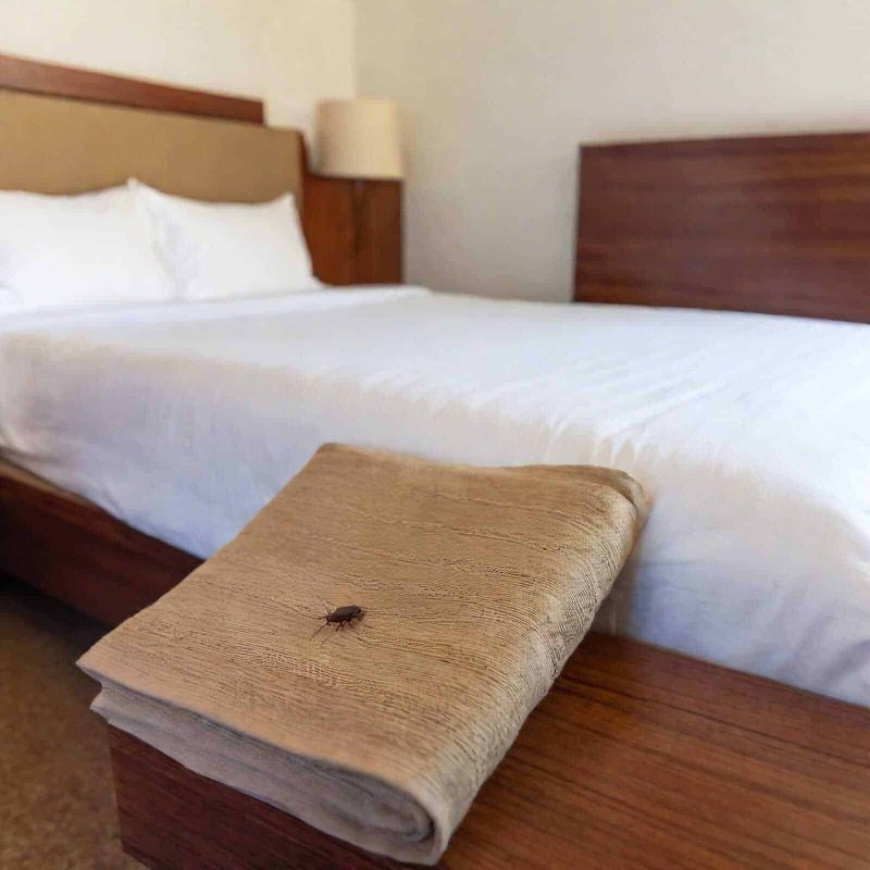 Come evitare le cimici da letto in viaggio 2 Una camera da letto confortevole con letto matrimoniale, federe bianche, comodino in legno e lampada da notte, dettagli del soggiorno rilassante in un hotel o B&B.