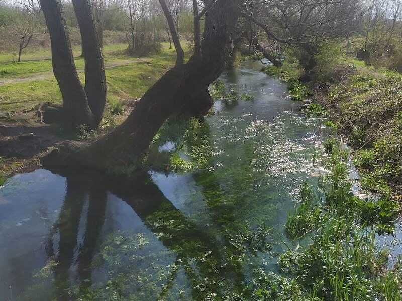 Quali sono i fiumi principali della Campania? Guida Completa 6 Quali sono i fiumi principali della Campania? Guida Completa