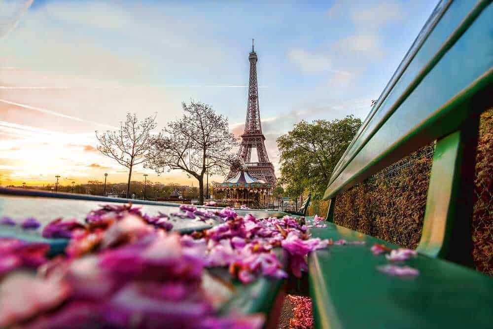 Parigi vista dalla panchina con fiori rosa e la Torre Eiffel al tramonto, atmosfera romantica e urbana, perfetta per blog di viaggio e cultura.