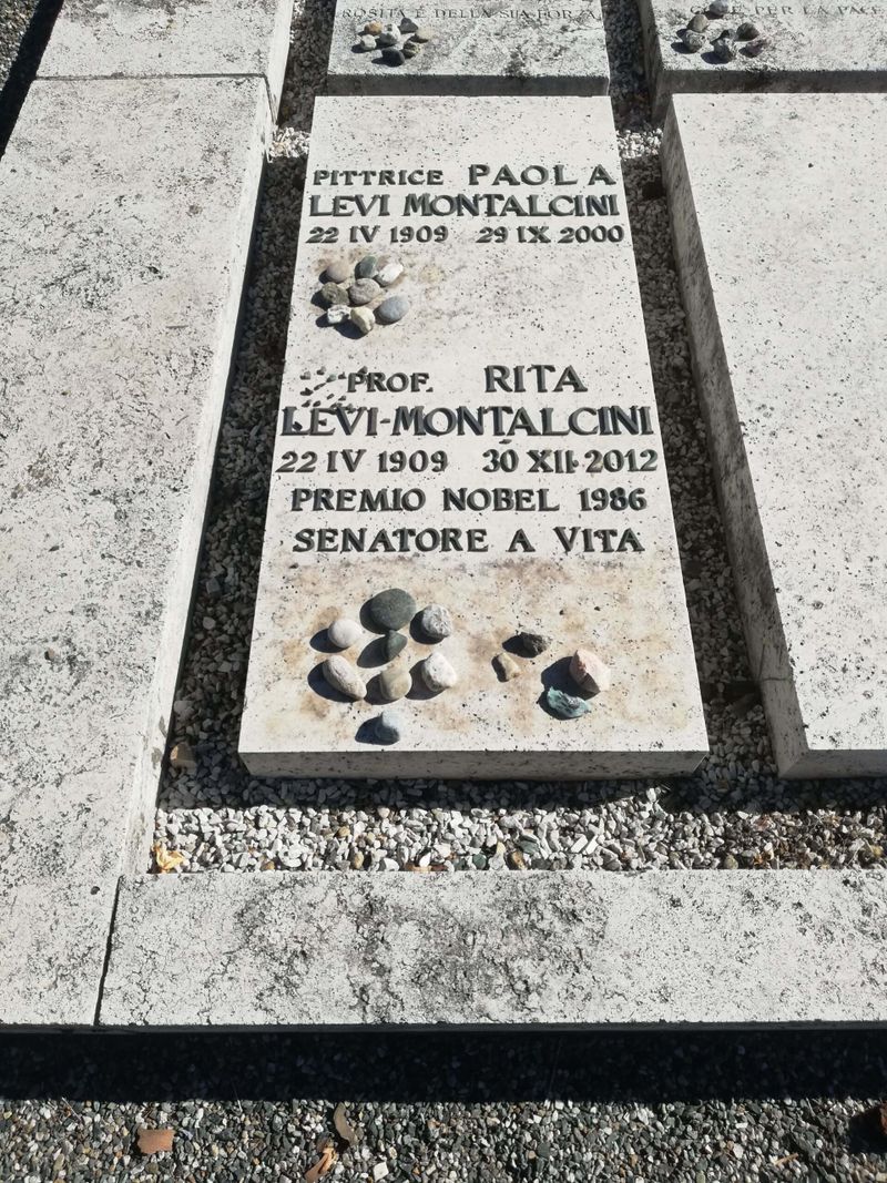Le scoperte di Rita Levi Montalcini e il Nobel medicina 4 Le scoperte di Rita Levi Montalcini e il Nobel medicina