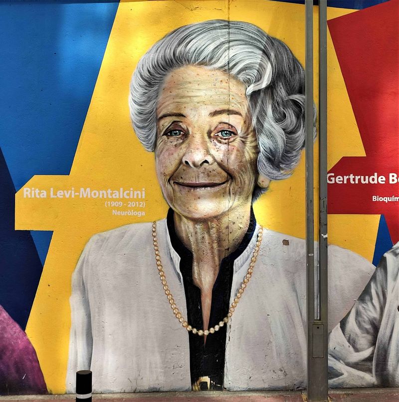 Le scoperte di Rita Levi Montalcini e il Nobel medicina 2 Le scoperte di Rita Levi Montalcini e il Nobel medicina