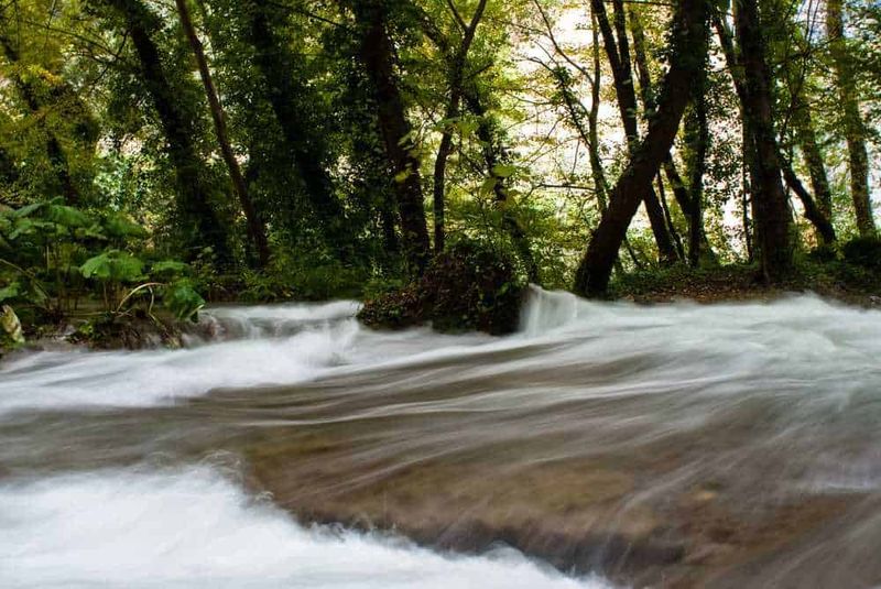 Sul fiume Velino è stata costruita una centrale elettrica e ora il flusso delle acque può essere regolato. / Foto: otzyv.ru Fiume che scorre tra alberi verdi in una scena naturale e tranquilla, ideale per foto di natura, foresta e paesaggi acquatici.