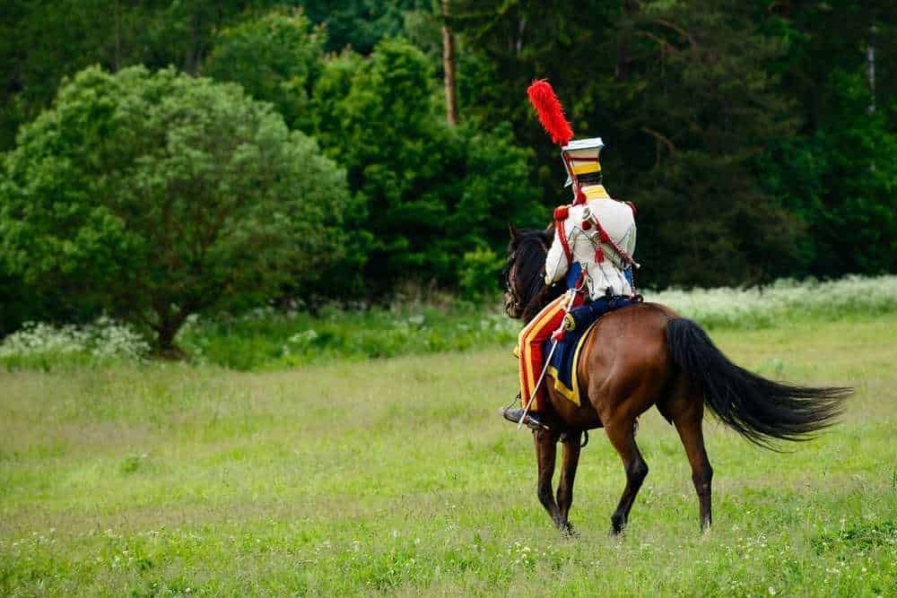 Cavaliere in uniforme storica a cavallo nel campo con alberi verdi circostanti.