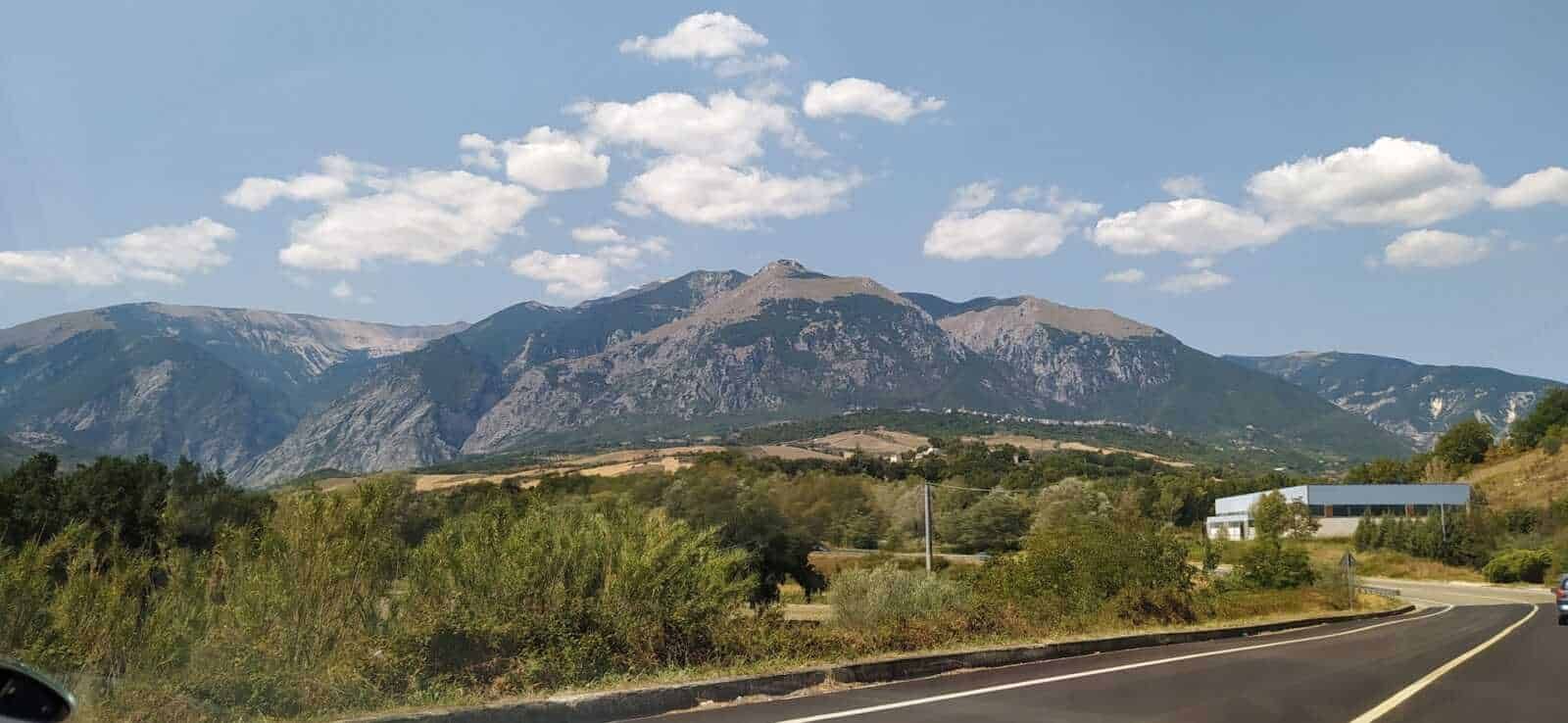 Ulivo su collina verde con vista panoramica sulle colline e il paesaggio rurale in lontananza, natura e relax in un ambiente campestre italiano.